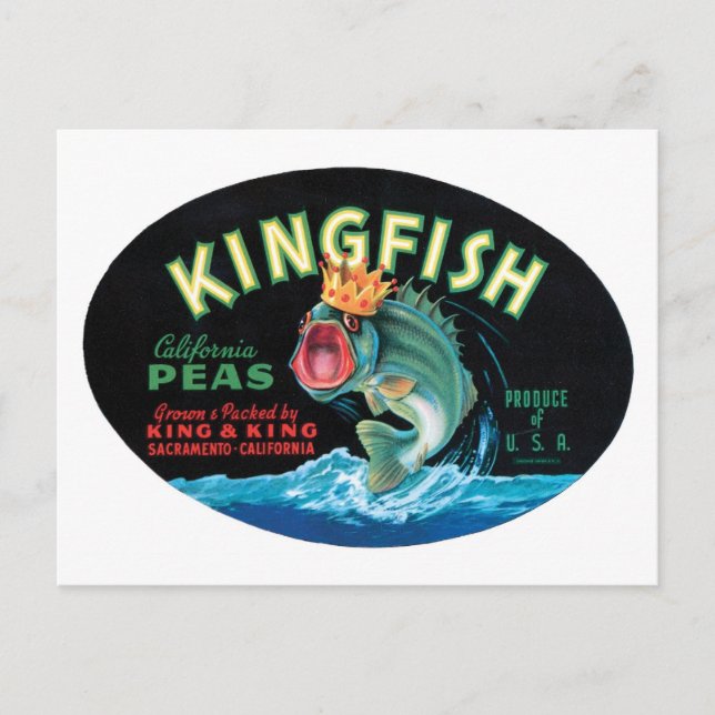 Vintages Kingfish Peakkordegel Postkarte (Vorderseite)