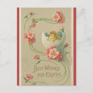 Vintages Küken in eis Rosa Blume Swirbeln Ostern P Postkarte