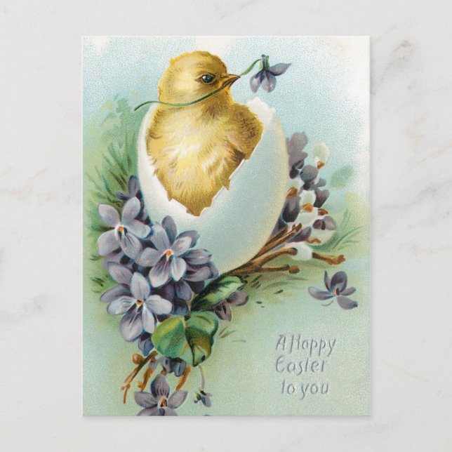 Vintages Küken und glückliche Osterwünsche Postkarte (Vorderseite)