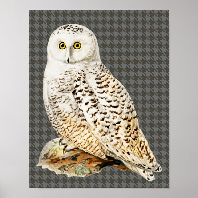 Vintages Kunstposter "White Owl" Poster (Vorne)