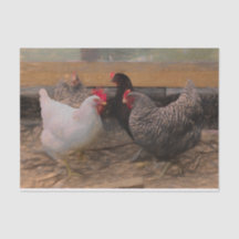 Vintages Land Barnyard Chicken