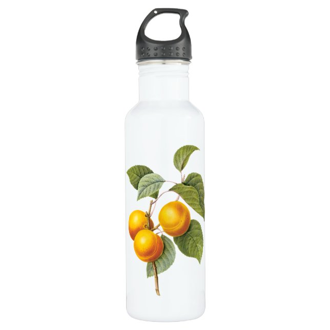 Vintages Lebensmittelobst, Apricot Peach von Redou Trinkflasche (Vorderseite)