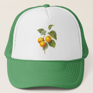 Vintages Lebensmittelobst, Apricot Peach von Redou Truckerkappe