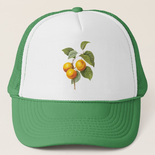 Vintages Lebensmittelobst, Apricot Peach von Redou Truckerkappe (Vorderseite)