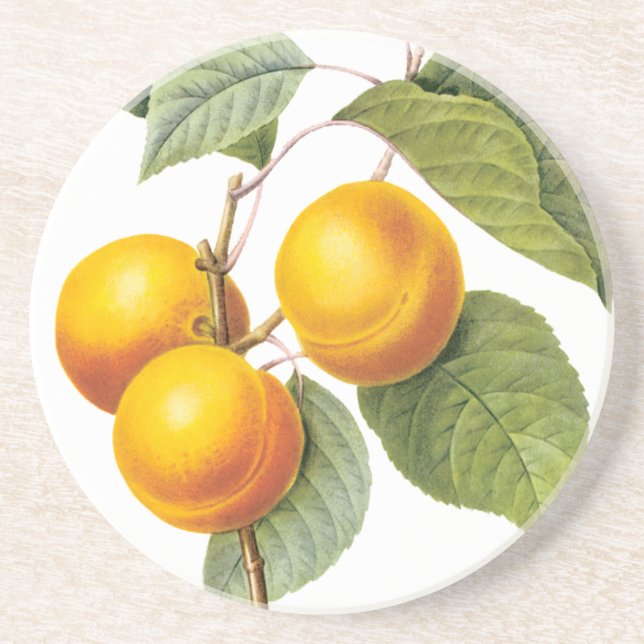Vintages Lebensmittelobst, Apricot Peach von Redou Untersetzer (Vorne)