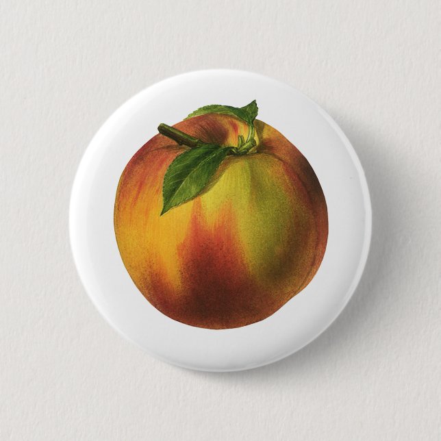 Vintages Lebensmittelobst, reife Bio Pfirsich mit  Button (Vorderseite)