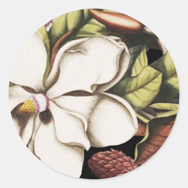 Vintages Magnolia auf schwarzen Stickern Runder Aufkleber (Vorderseite)