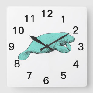 Vintages Manatee Zeichnend Aqua Quadratische Wanduhr