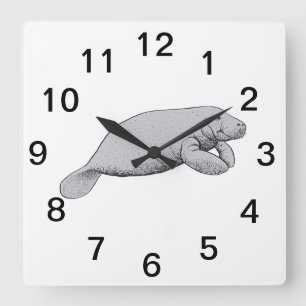 Vintages Manatee Zeichnend Quadratische Wanduhr