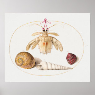 Vintages maritimes Illustrationspaket Poster