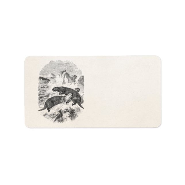 Vintages Meer Otters 1800 Otter Illustration Adressaufkleber (Vorne)