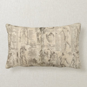 Vintages menschliches Anatomiekissen Lendenkissen