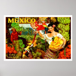 Vintages Mexiko Land der tropischen Splendor-Reise Poster