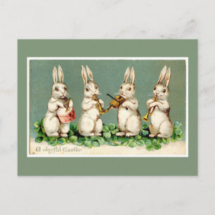 Vintages Musical Oaster Bunnies Grüne Postkarte