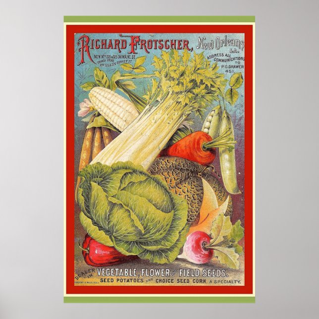 Vintages New Orleans Gartenanlagen und Gärten Poster (Vorne)