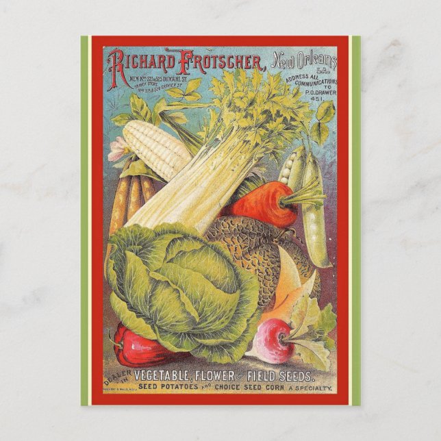 Vintages New Orleans Gartenanlagen und Gärten Postkarte (Vorderseite)