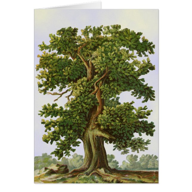 Vintages Oak Tree Art Leere Karte (Vorne)