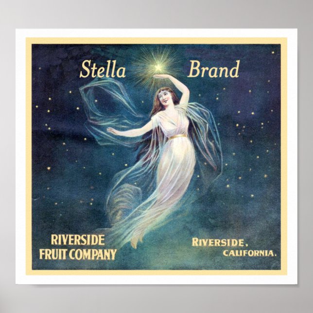 Vintages Obst Poster (Vorne)