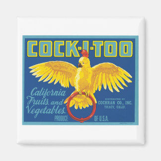 Vintages Obst und Gemüse - Lebensmittelkennzeichnu Magnet
