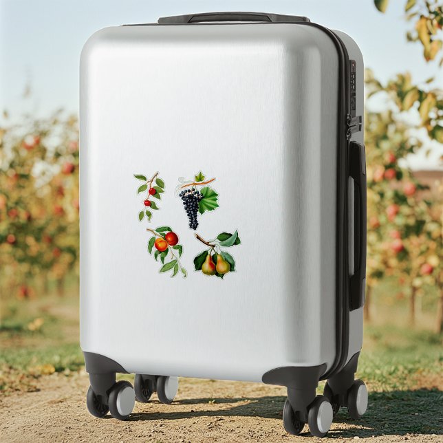 Vintages Obst von Gallesio Aufkleber (Von Creator hochgeladen)