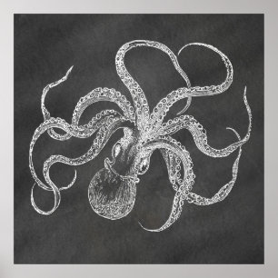 Vintages Octopus-Chalkboard-Hintergrundbogen Poster