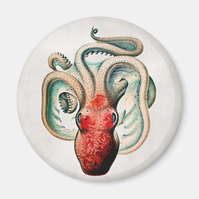 Vintages Octopus Magnet (Vorne)