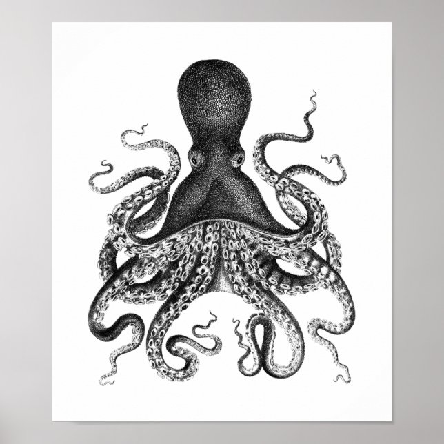 Vintages Octopus-Poster Poster (Vorne)
