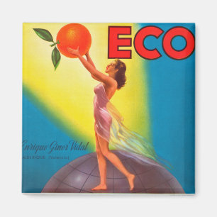 Vintages Öko Orange Magnet