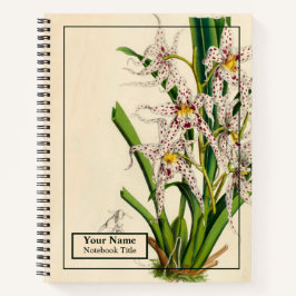 Vintages Oncidium Naevium Orchid-Notebook Notizbuch