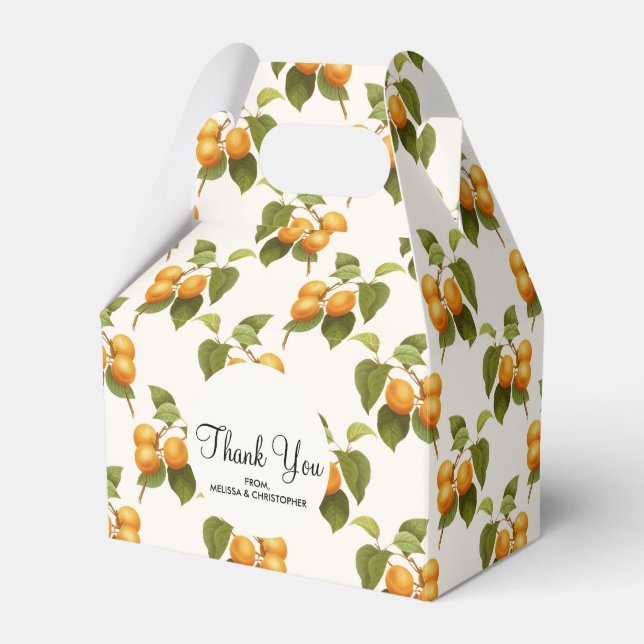 Vintages Orange Apricots Wasserfarbmuster Geschenkschachtel (Vorderseite)