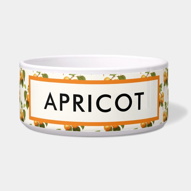 Vintages Orange Apricots Wasserfarbmuster Napf (Vorderseite)