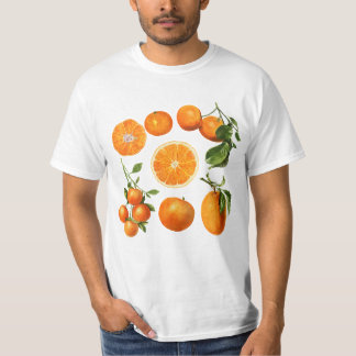 Vintages Orange Shirt Art Graphic T-Shirt Fruit Sh