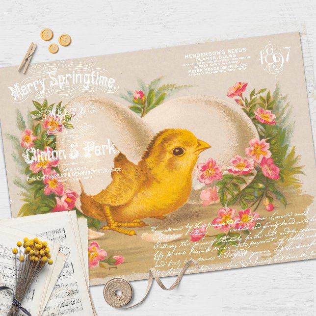 Vintages Osterkichtenentpackungspapier Seidenpapier (Von Creator hochgeladen)