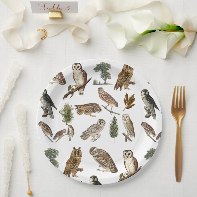 Vintages Owl Wasserfarbenwaldmuster Pappteller (Hochzeit)