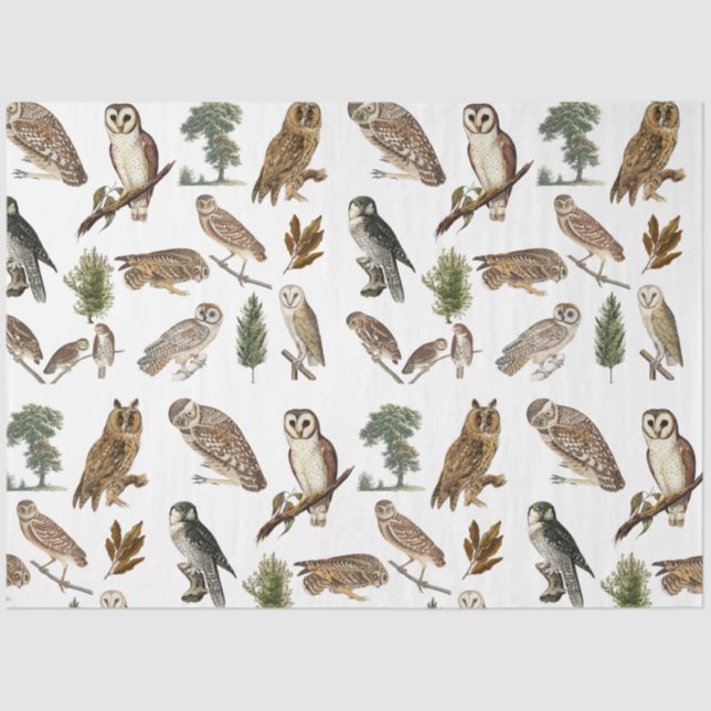 Vintages Owl Wasserfarbenwaldmuster Seidenpapier (Vorderseite)