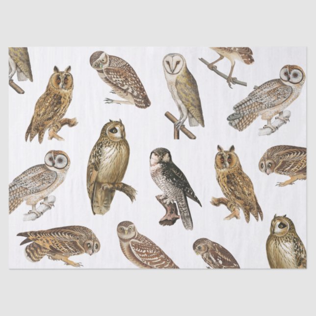 Vintages Owls-Muster Seidenpapier (Vorderseite)
