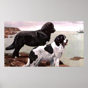 Vintages Painted Newfundlands Poster