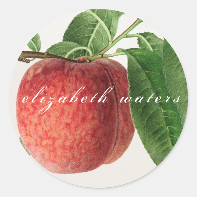 "VINTAGES PEACH" - ZOLLBARER UMSCHLAG AUFKLEBER (Vorderseite)