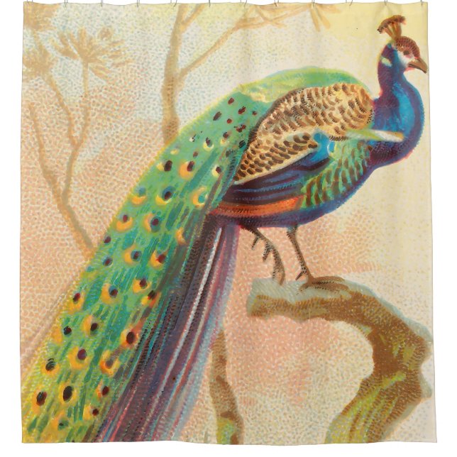 Vintages Pfau auf einem Ast-Gemälde Duschvorhang (Vorderseite)