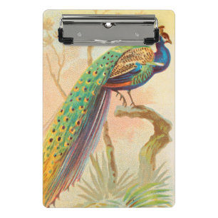 Vintages Pfau auf einem Ast-Gemälde Mini Klemmbrett