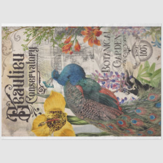 Vintages Pfauengeflechtpapier Seidenpapier