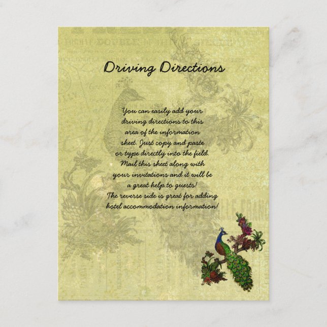 Vintages Pfaueninformations-blatt Begleitkarte (Vorderseite)