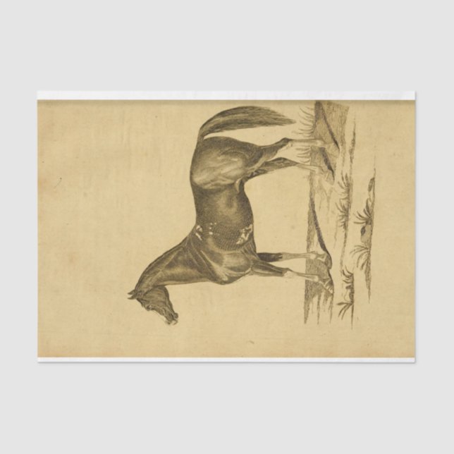 Vintages Pferd Ephemera Decoupage Seidenpapier (Vorderseite)