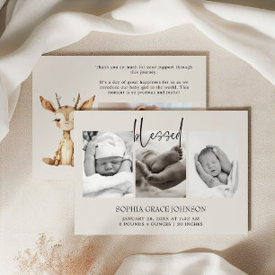 Vintages Plush Kinderzimmer Tiere Ankündigung