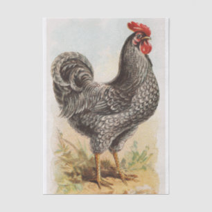 Vintages Plymouth Rock Chicken Decoupage Seidenpapier