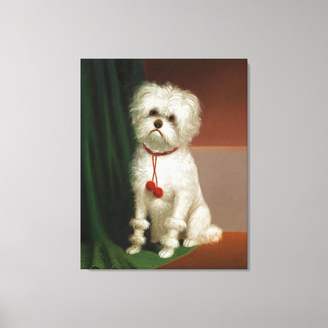 Vintages Portrait eines weißen Hundes Leinwanddruck (Vorderseite)