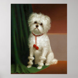 Vintages Portrait eines weißen Hundes Poster