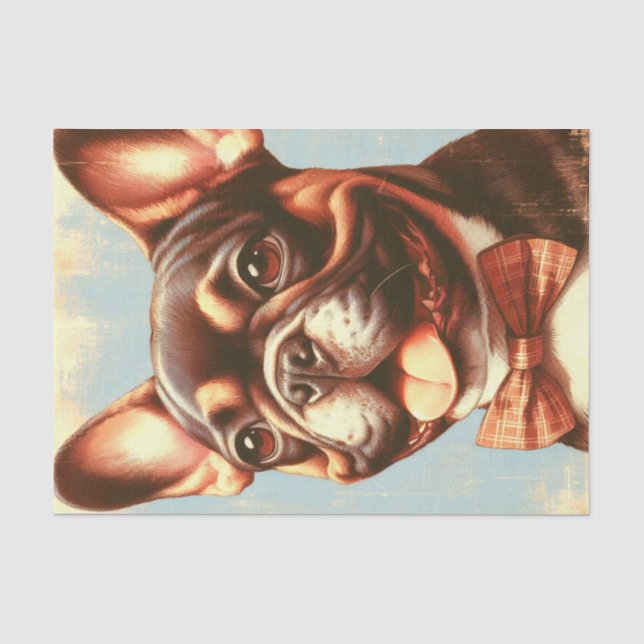 Vintages Portrait von Bulldog Seidenpapier (Vorderseite)