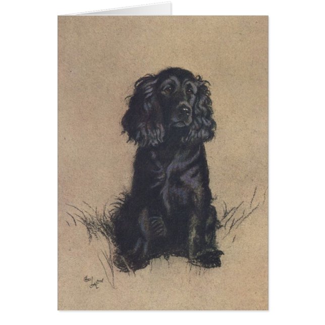 Vintages Porträt eines Cockerspaniels, (Vorne)