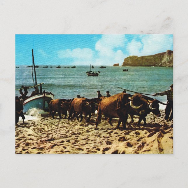 Vintages Portugal,    Nazare, Fischerboote Postkarte (Vorderseite)